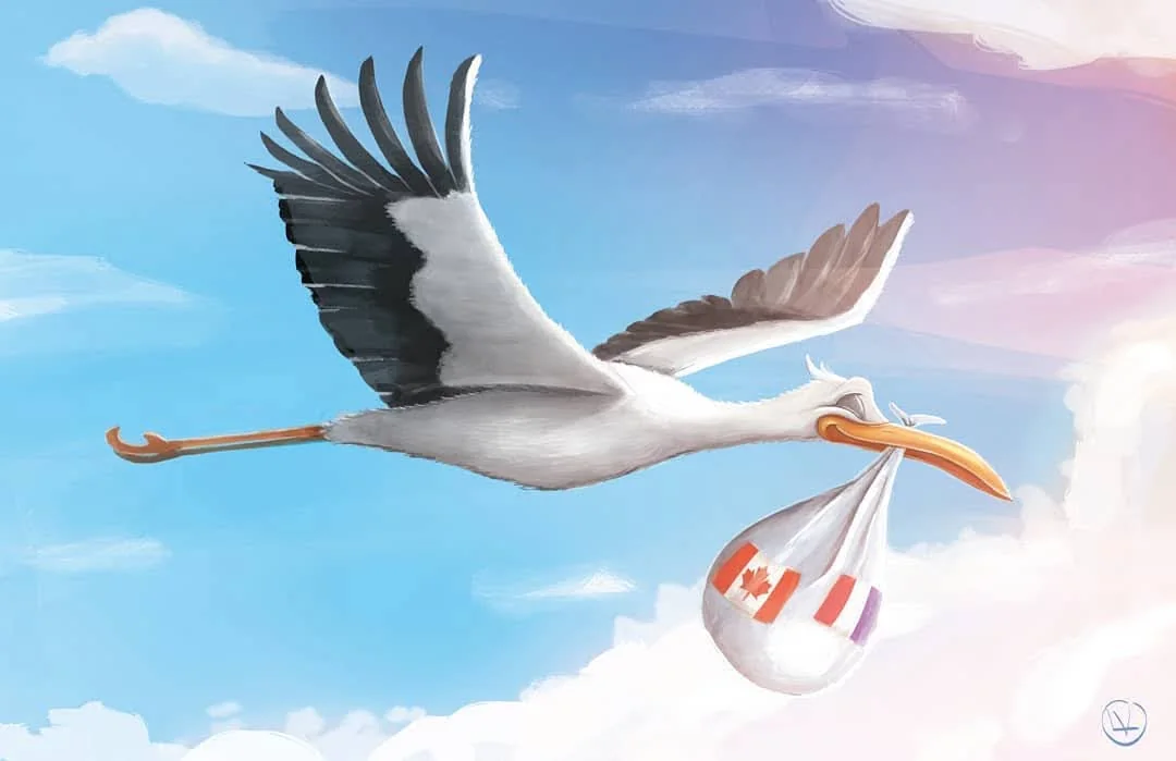 Illustration d’une cigogne qui transporte un bébé dans un baluchon aux couleurs du Canada et de la France