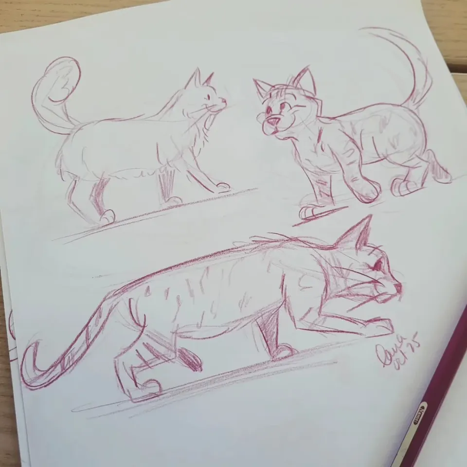 Chats en mouvement